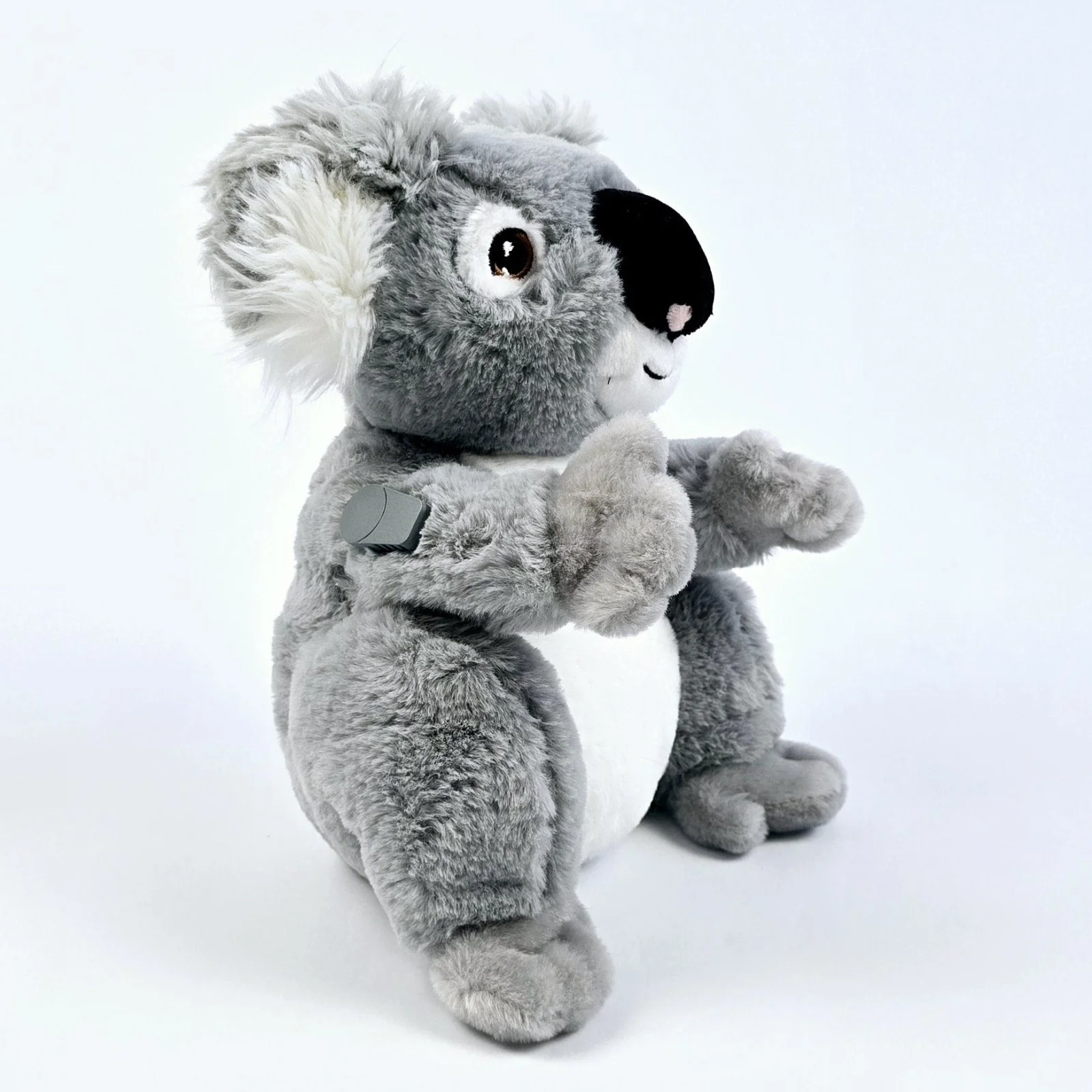 Kiko el Koala, vista lateral con puntos de práctica